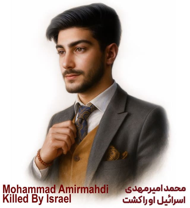 پوستر شهید محمد امیر مهدی
