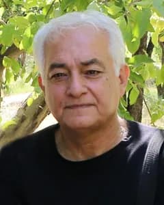 امیر مهدی کیا