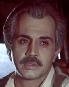 ارژنگ فرخ پیکر