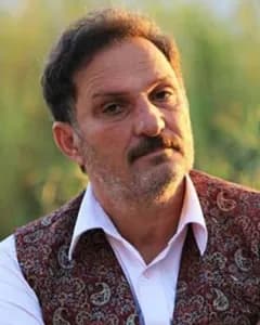 بهمن صادق حسنی