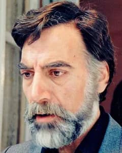هادی اسلامی