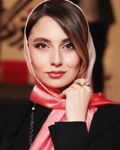 حدیث مدنی