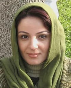 مسیح میرحسینی
