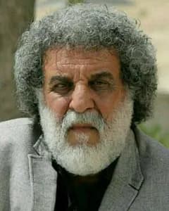 محمدباقر مرادی فرد