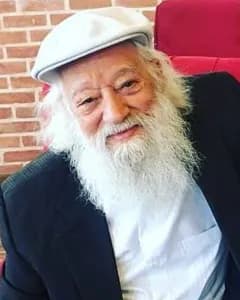 محمد پورستار