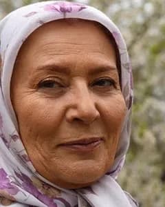 صفا آقاجانی