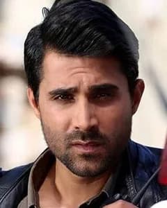 سیاوش گرجستانی