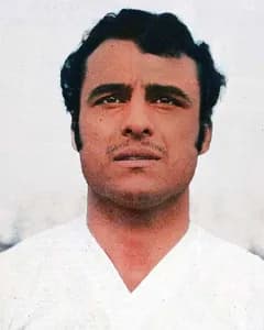 همایون بهزادی