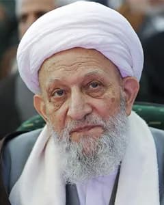 محمدرضا مهدوی کنی