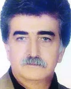 محمدرضا قومی