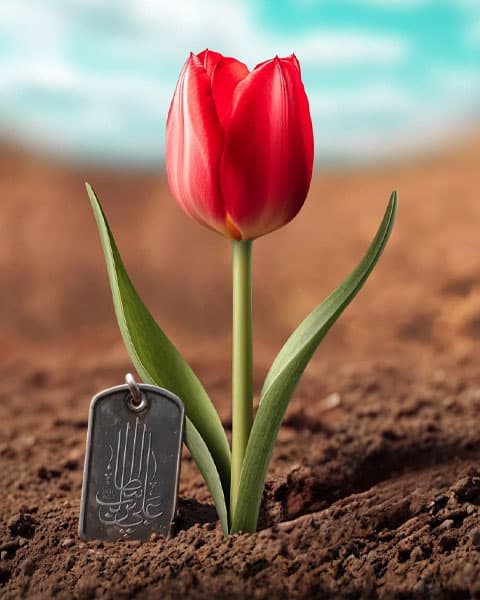 فاطمه ایزدی