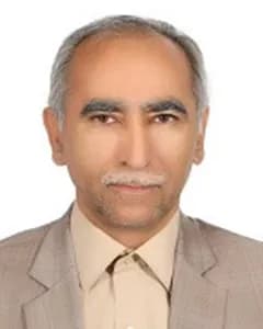 حمزه امینی