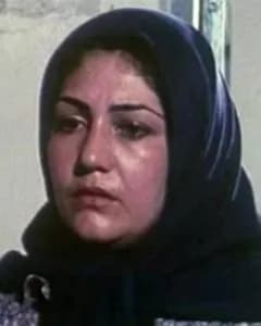 مینو ابریشمی