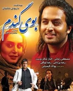 فیلم بوی گندم