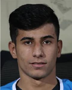 امیرمحمد پناهی