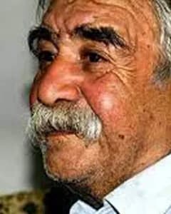 طاهر یارویسی