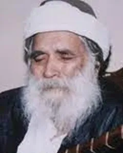 امیر حیاتی