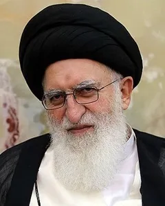 سید جواد علوی بروجردی