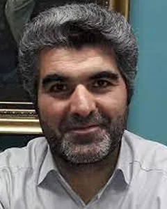 سید اصغر محمودی